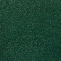 Мебельная ткань искусственная кожа DOMUS Green (Домус Грин)