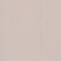 FG166-23 Шарли Муссон пленка ПВХ для фасадов МДФ и стеновых панелей