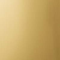 Золото матовое, упор фасонный анодированный. Алюминиевая система дверей-купе ABSOLUT DOORS SYSTEM