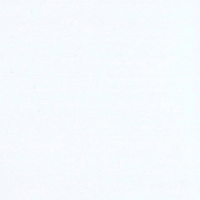 14009-00 Белый теплый глянец, Пленка ПВХ, Россия