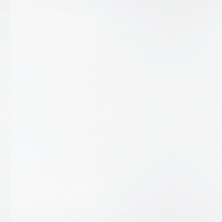 G 1 Белый глянец пленка ПВХ для фасадов МДФ