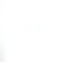 SY 06-02 Белый глянец, пленка ПВХ
