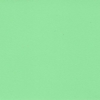 BS2538G-03, Светло-зелёный матовая, плёнка ПВХ для фасадов МДФ