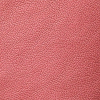 Мебельная ткань искусственная кожа DOMUS Berry (Домус Бэрри)