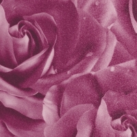 HTY 67 682 Роза фиолетовая металлик, плёнка ПВХ