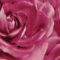 HTY 67 682 Роза фиолетовая металлик, плёнка ПВХ